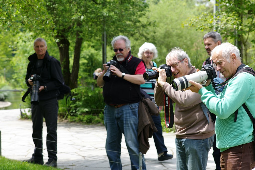Sortie au Zoo
